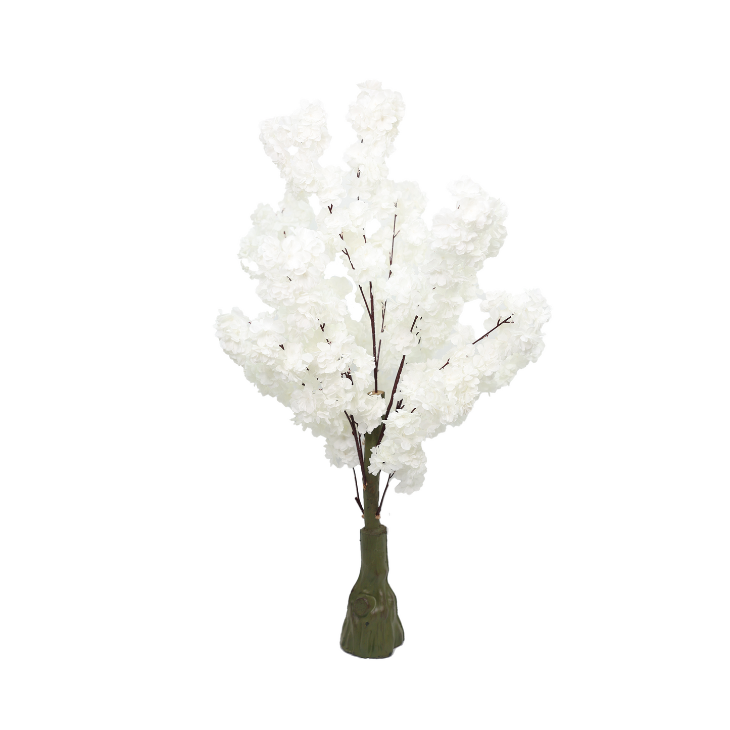 Japanska trešnja - 110 cm - bela