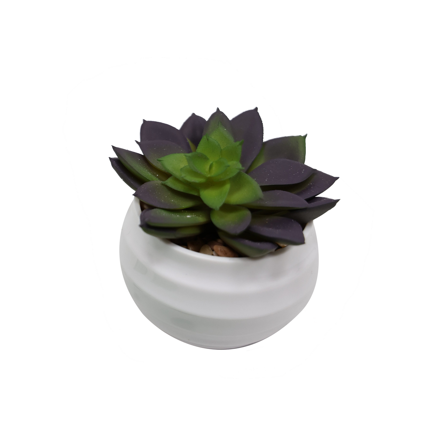 Čuvarkuća - model 2