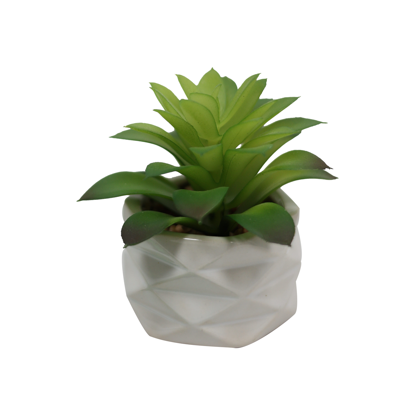 Čuvarkuća - keramička