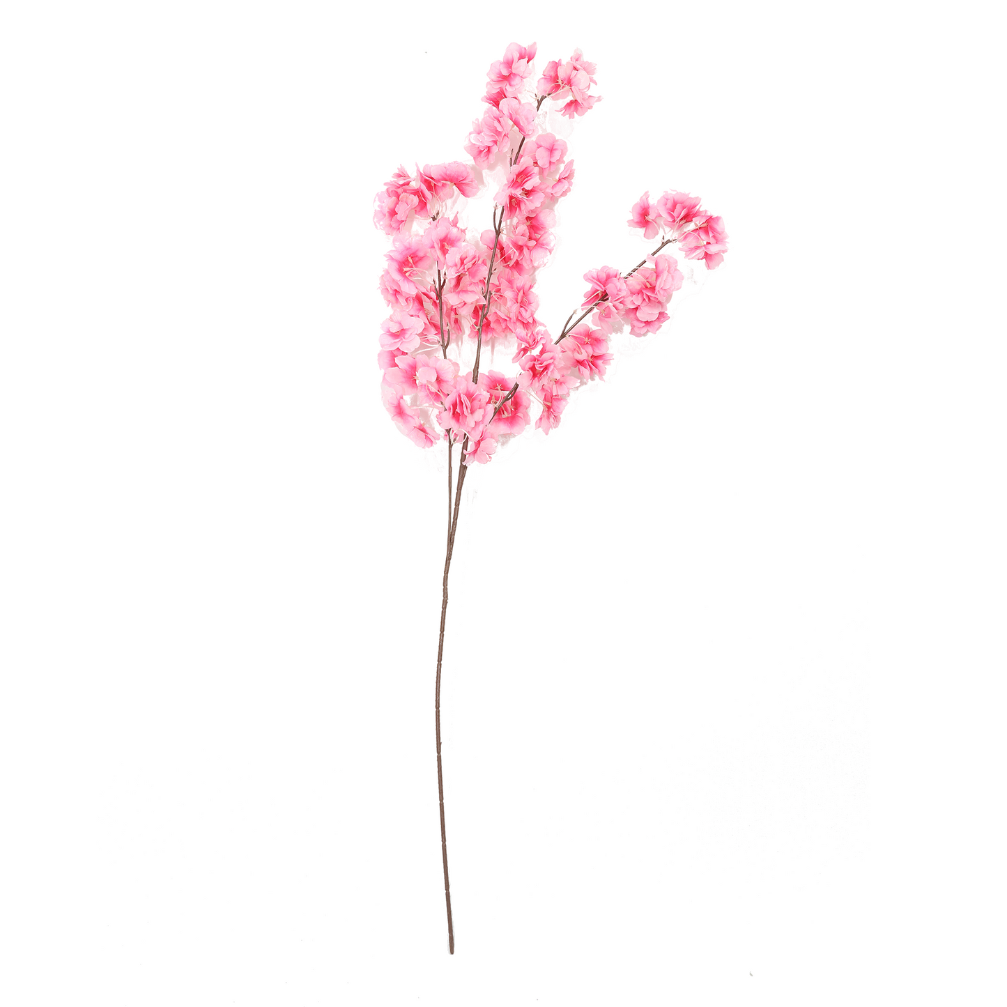 Grančica - japanska trešnja - roza