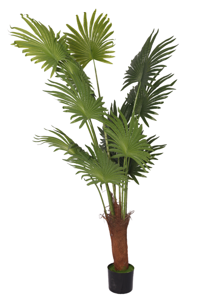 Palma - Model 21 - 180 cm