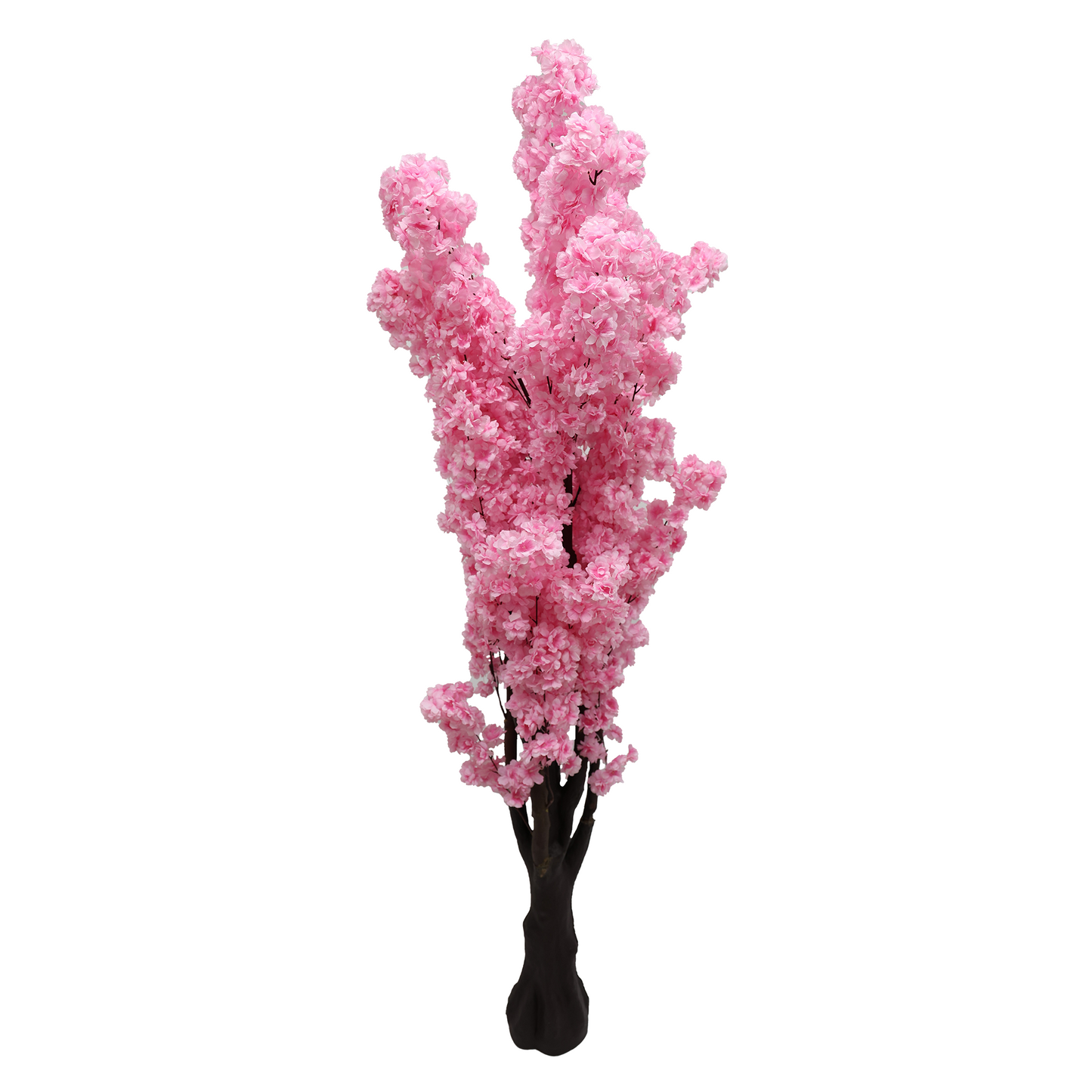 Japanska trešnja - 200 cm - roza