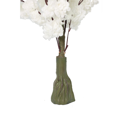 Japanska trešnja - 110 cm - bela