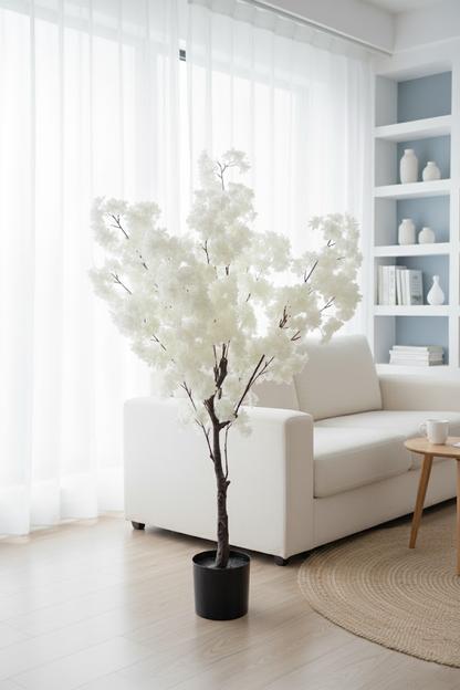 Japanska trešnja - 130 cm - bela