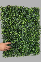 Zidni panel od veštačkog šimšira 60x40 cm u ruci na sivoj pozadini