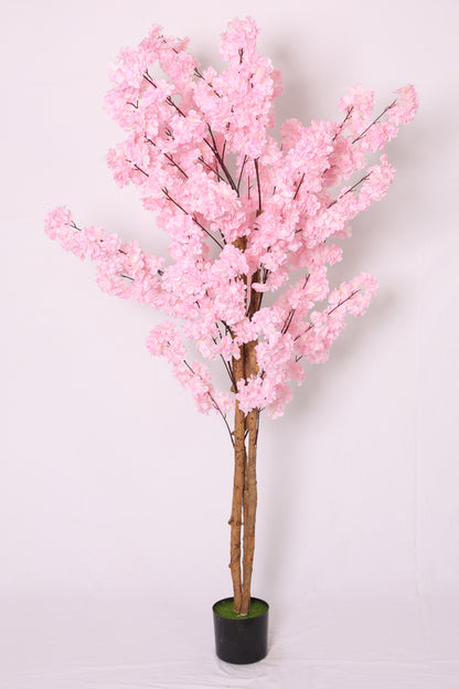 Japanska trešnja - 190 cm - roza