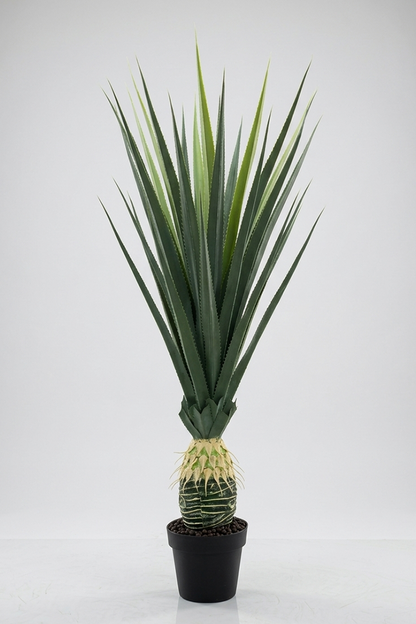 Saksijsko cveće | Ananas 130 cm