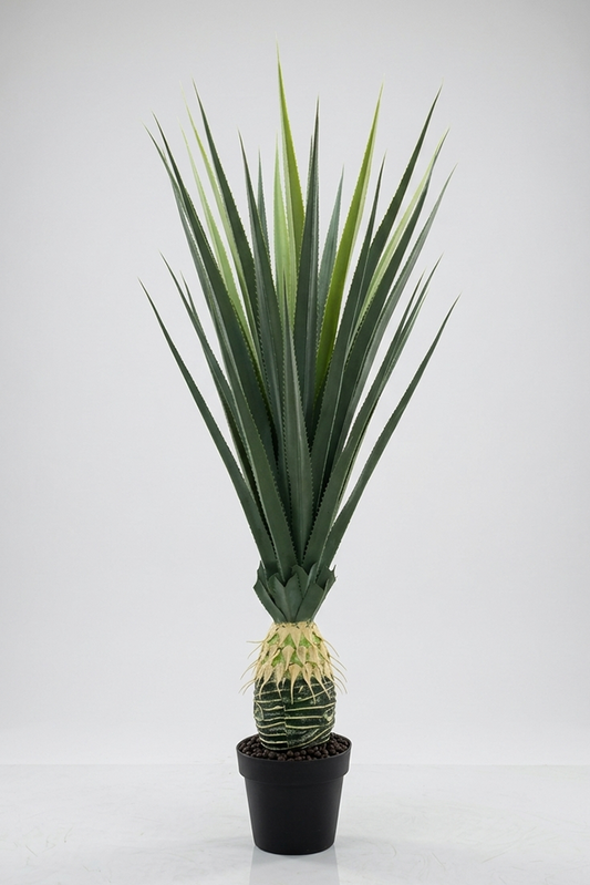 Saksijsko cveće | Ananas 130 cm