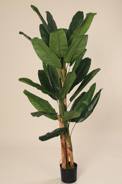 Banana - Model 11 - 190 cm
