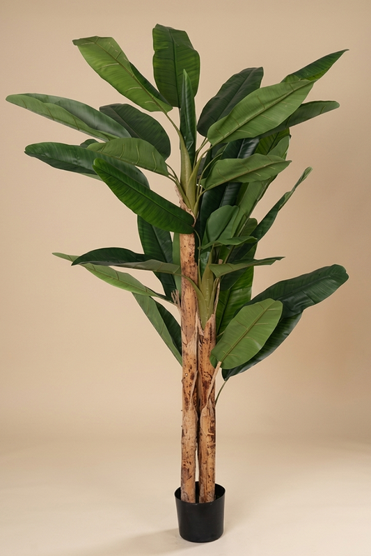 Banana - Model 12 - 210 cm