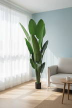 Veštačka biljka banana 220 cm uz plavi zid i fotelju