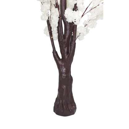 Japanska trešnja - 200 cm - bela