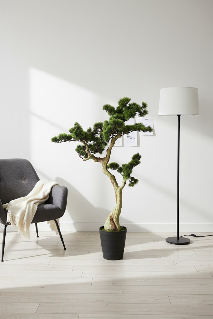 Veštački bonsai sa uvijenim stablom 120 cm pored fotelje i podne lampe