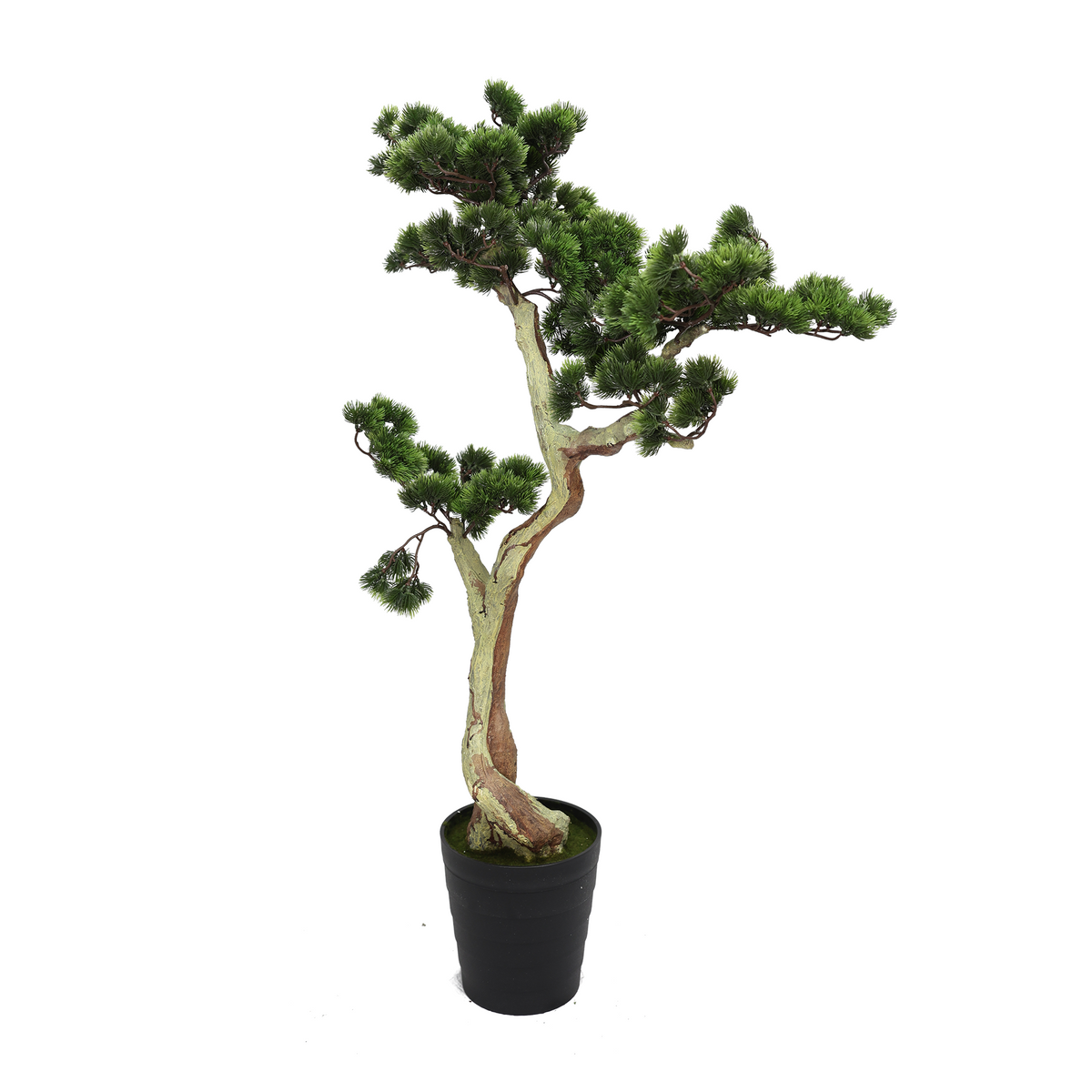 Veštački bonsai sa uvijenim stablom 120 cm na beloj pozadini