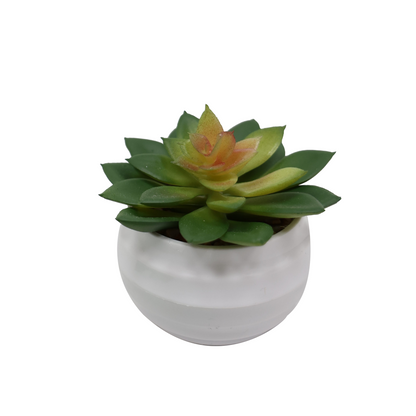 Čuvarkuća - model 4