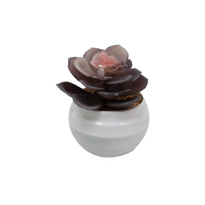 Čuvarkuća - model 5