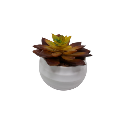 Čuvarkuća - model 6