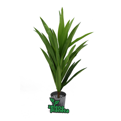 Drvo života - 120 cm