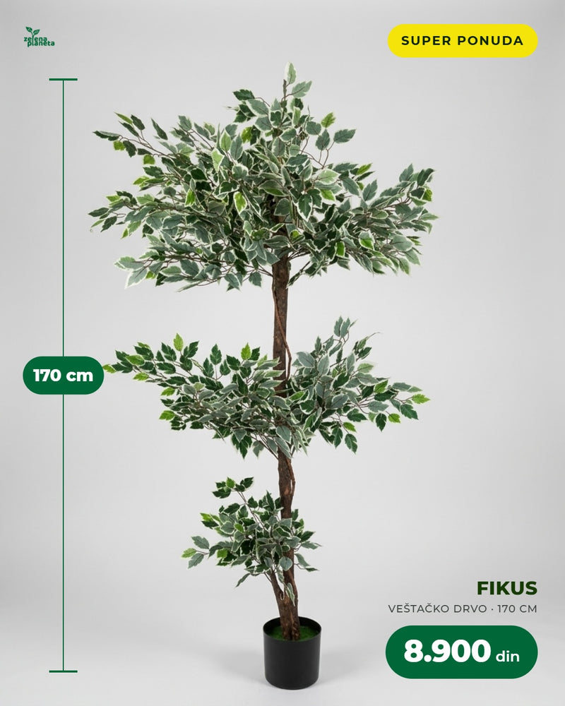 Veštački fikus 170 cm u saksiji