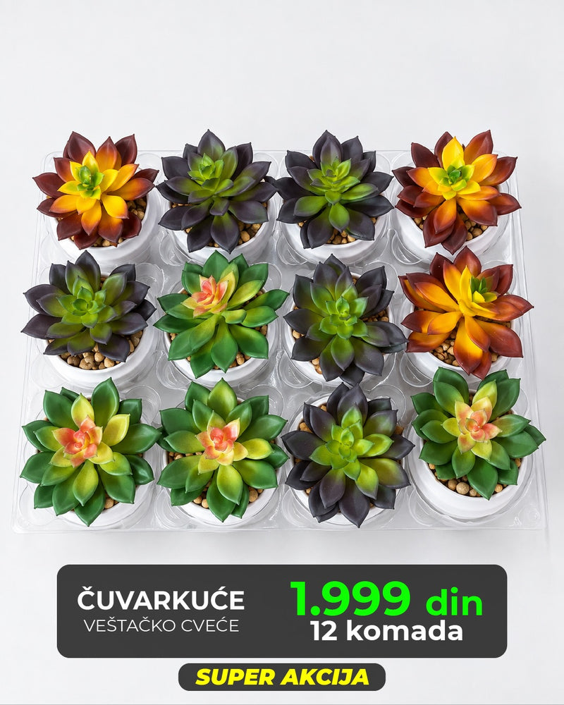 Veštačke čuvarkuće u saksijama, set od 12 komada