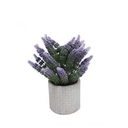 Saksijsko cveće - model 09