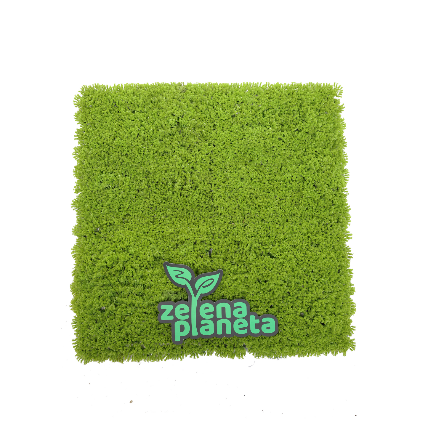 Zidni panel - model 3-01 | Mahovina
