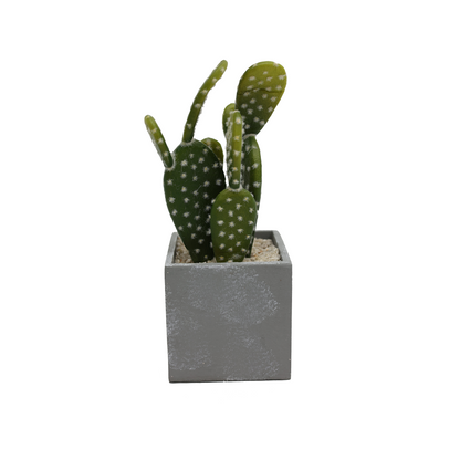 Kaktus - model 3