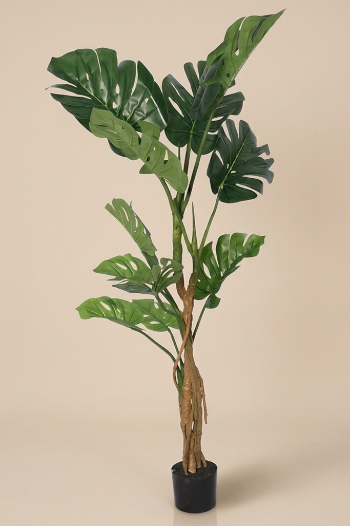 Monstera - Model 19 - 160 cm