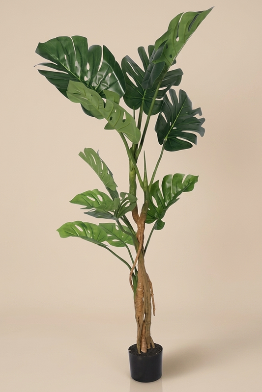 Monstera - Model 19 - 160 cm