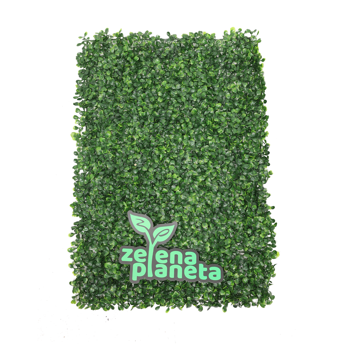 Zidni panel od veštačkog šimšira 60x40 cm spreda na beloj pozadini