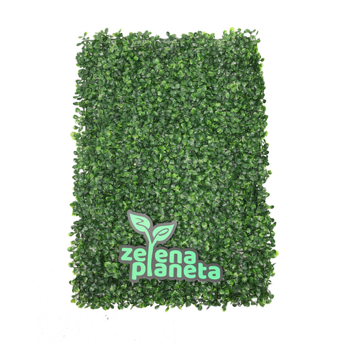 Zidni panel od veštačkog šimšira 60x40 cm spreda na beloj pozadini