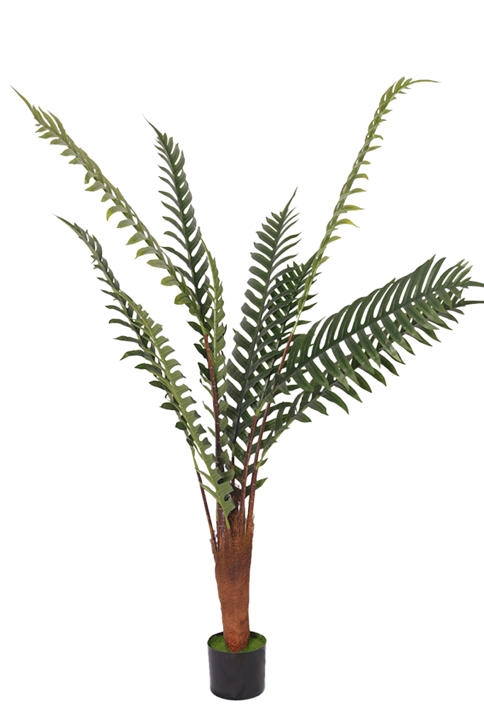 Palma - Model 15 - 180 cm