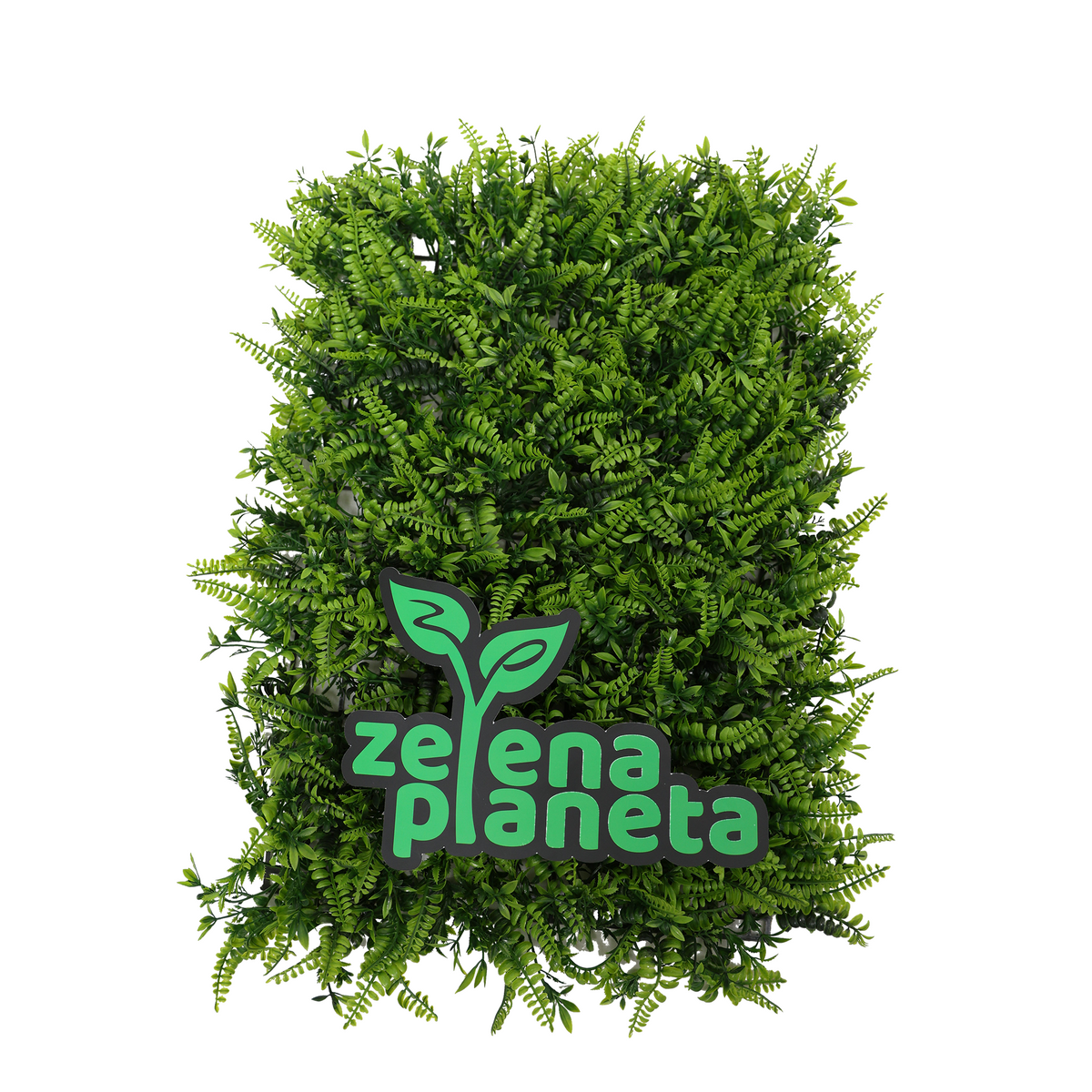 Zidni panel od veštačke paprati 60x40 cm spreda na beloj pozadini