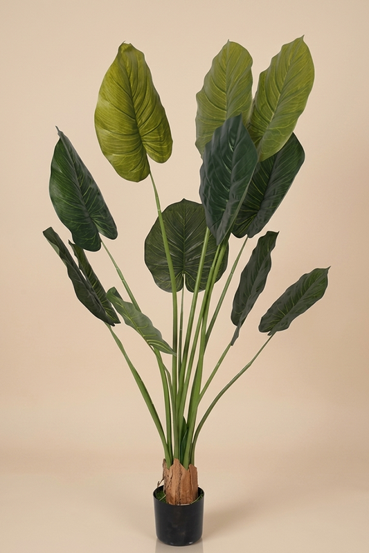 Potos - Model 13 - 160 cm