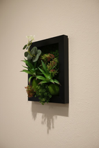 3D ram 25x20cm crni, manji format - Zelena Planeta