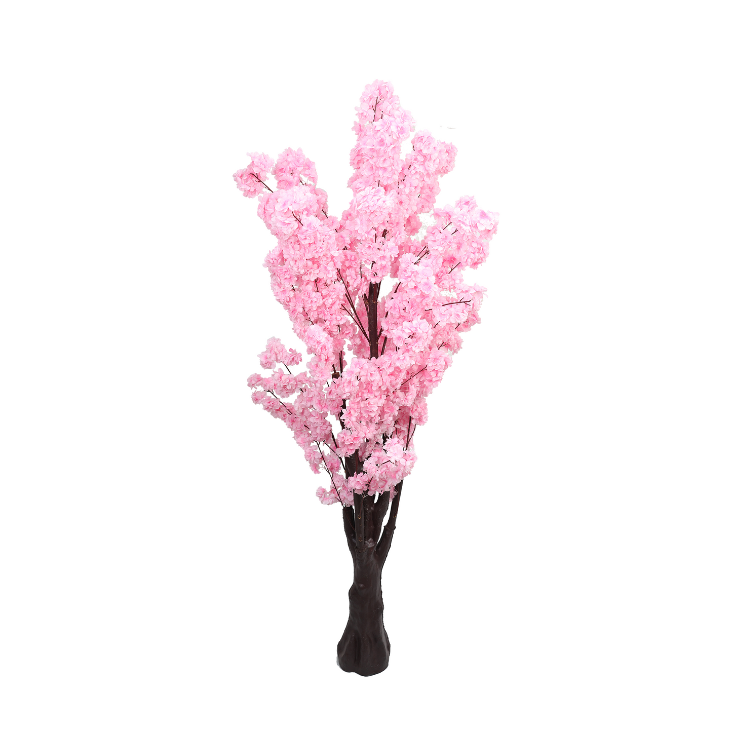Japanska trešnja - 200 cm - roza