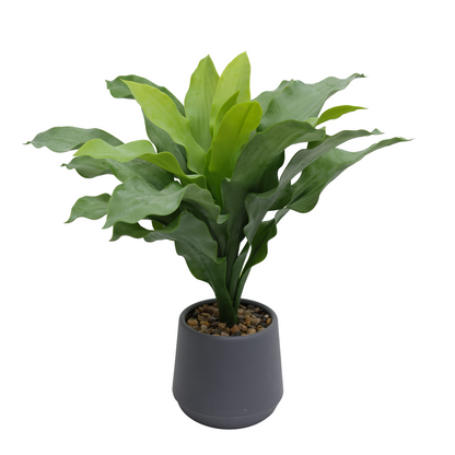 Saksijsko cveće - model 05