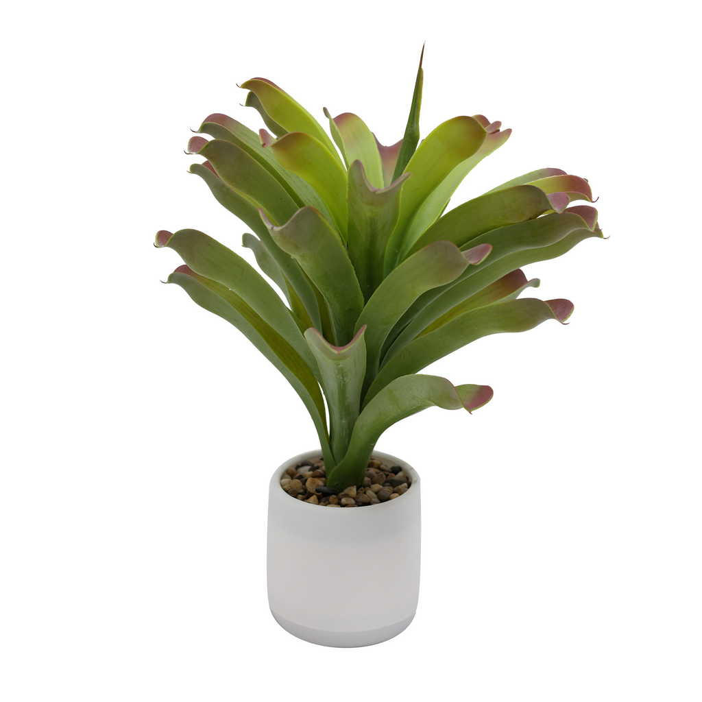 Veštačka bromelija 50 cm na beloj pozadini, pun izgled