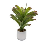 Veštačka bromelija 50 cm na beloj pozadini, pun izgled
