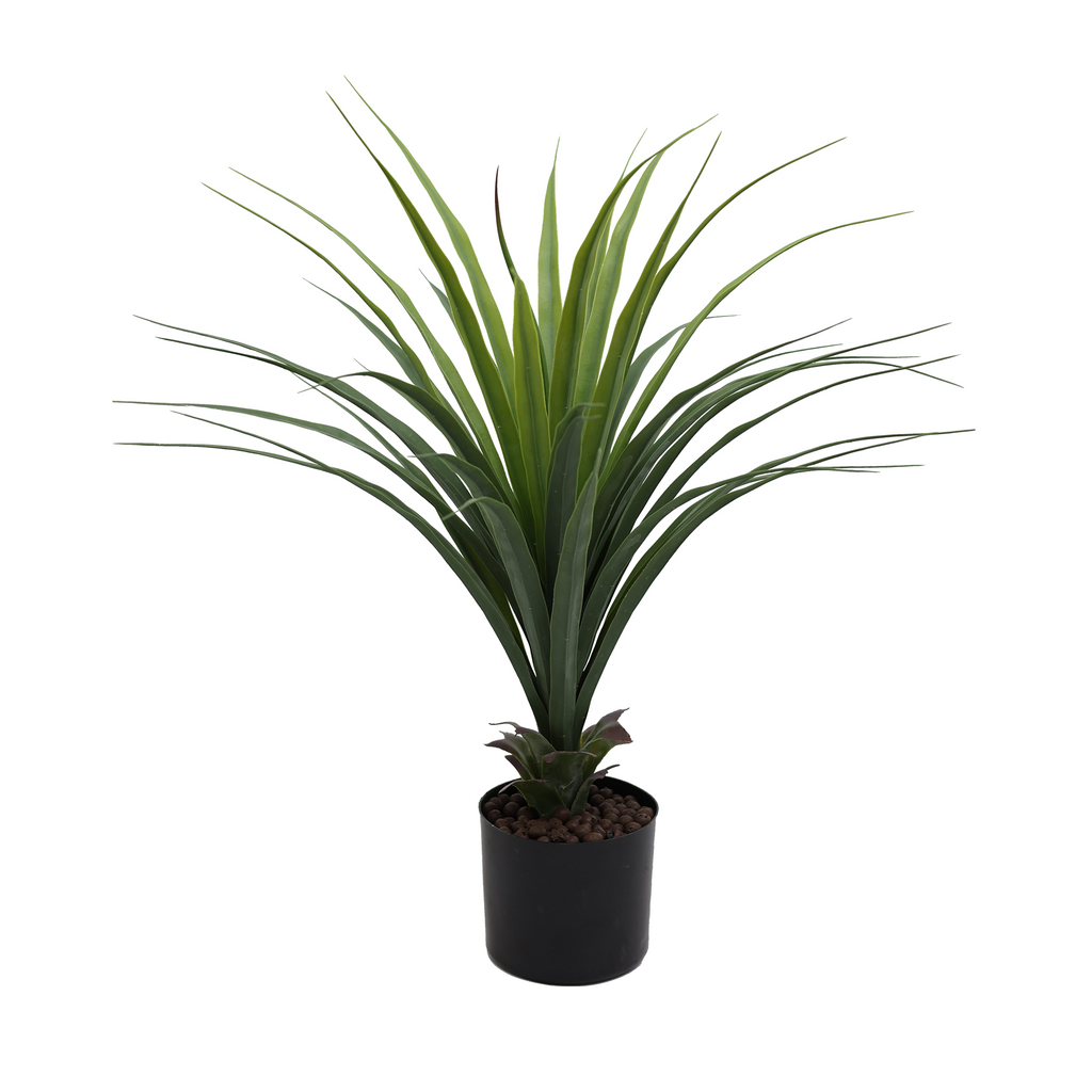 Veštačka dracena 70 cm, detalj uskih listova u studijskom snimku