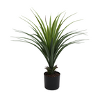 Veštačka dracena 70 cm, detalj uskih listova u studijskom snimku