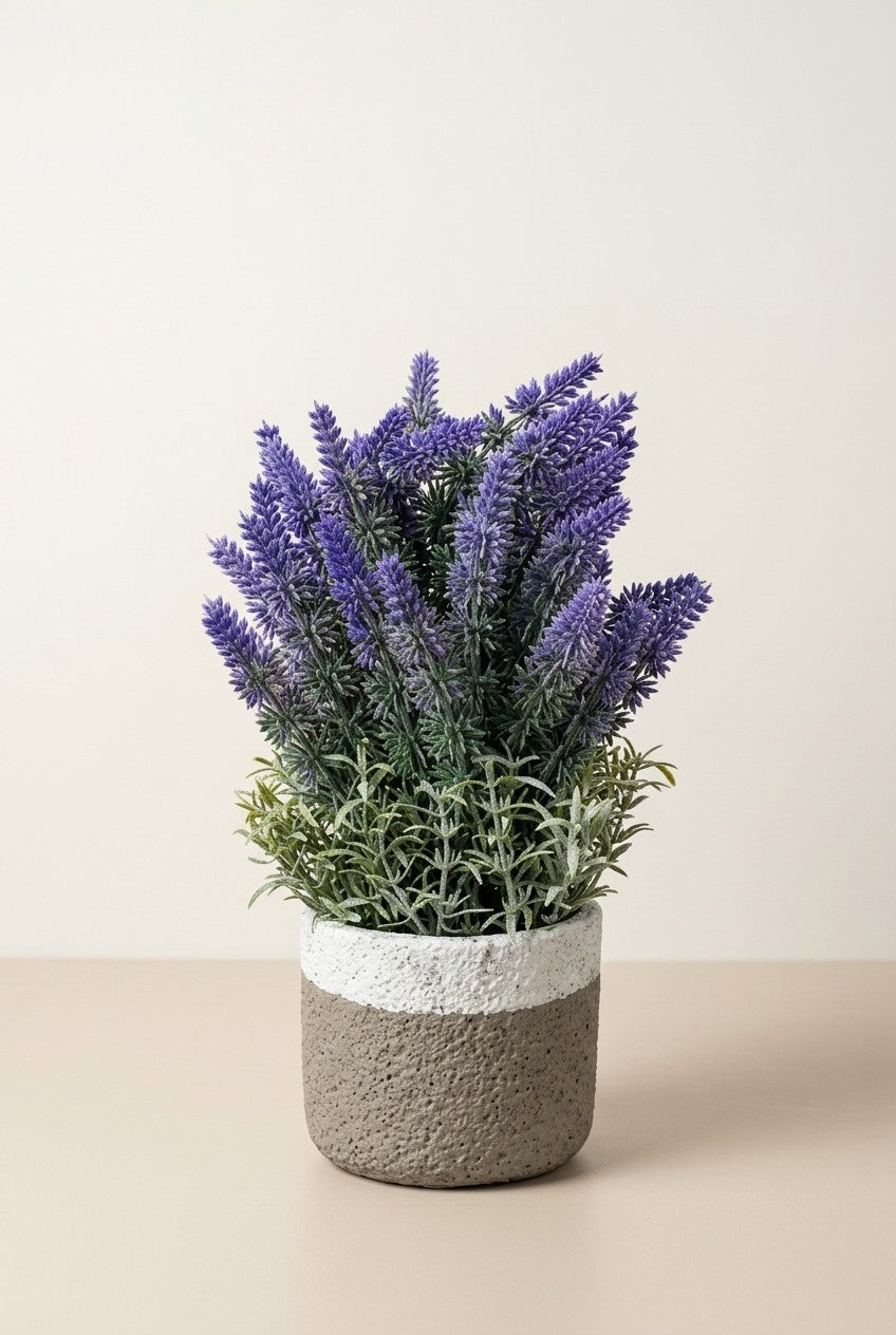 Veštačka lavanda u sivo-beloj saksiji na svetloj pozadini, pogled spreda