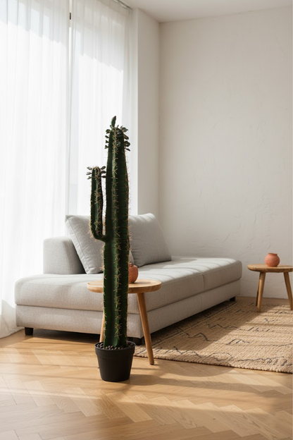 Veliki kaktus - 100 cm