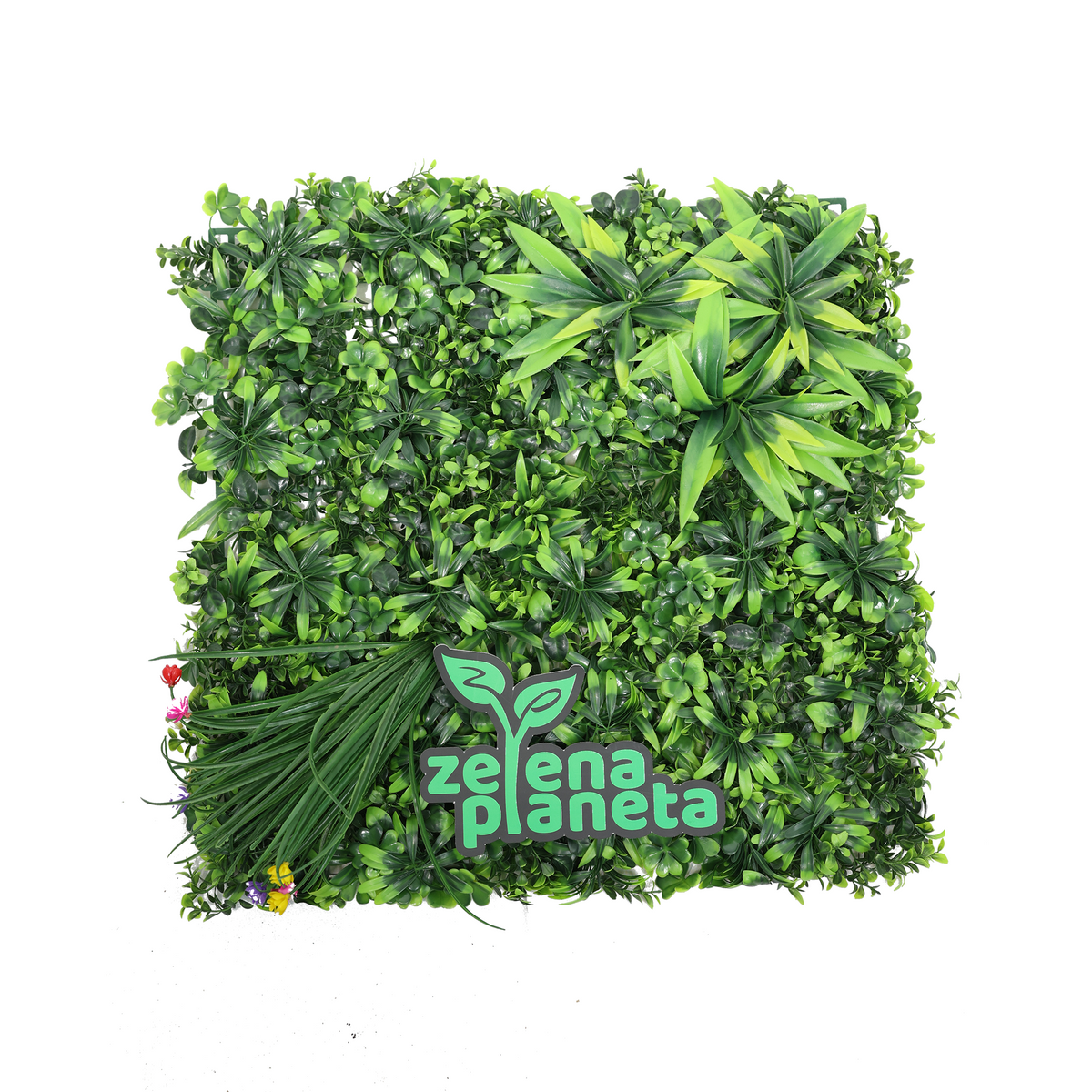 Zidni panel sa travom i mešanim lišćem 50x50 cm na beloj pozadini